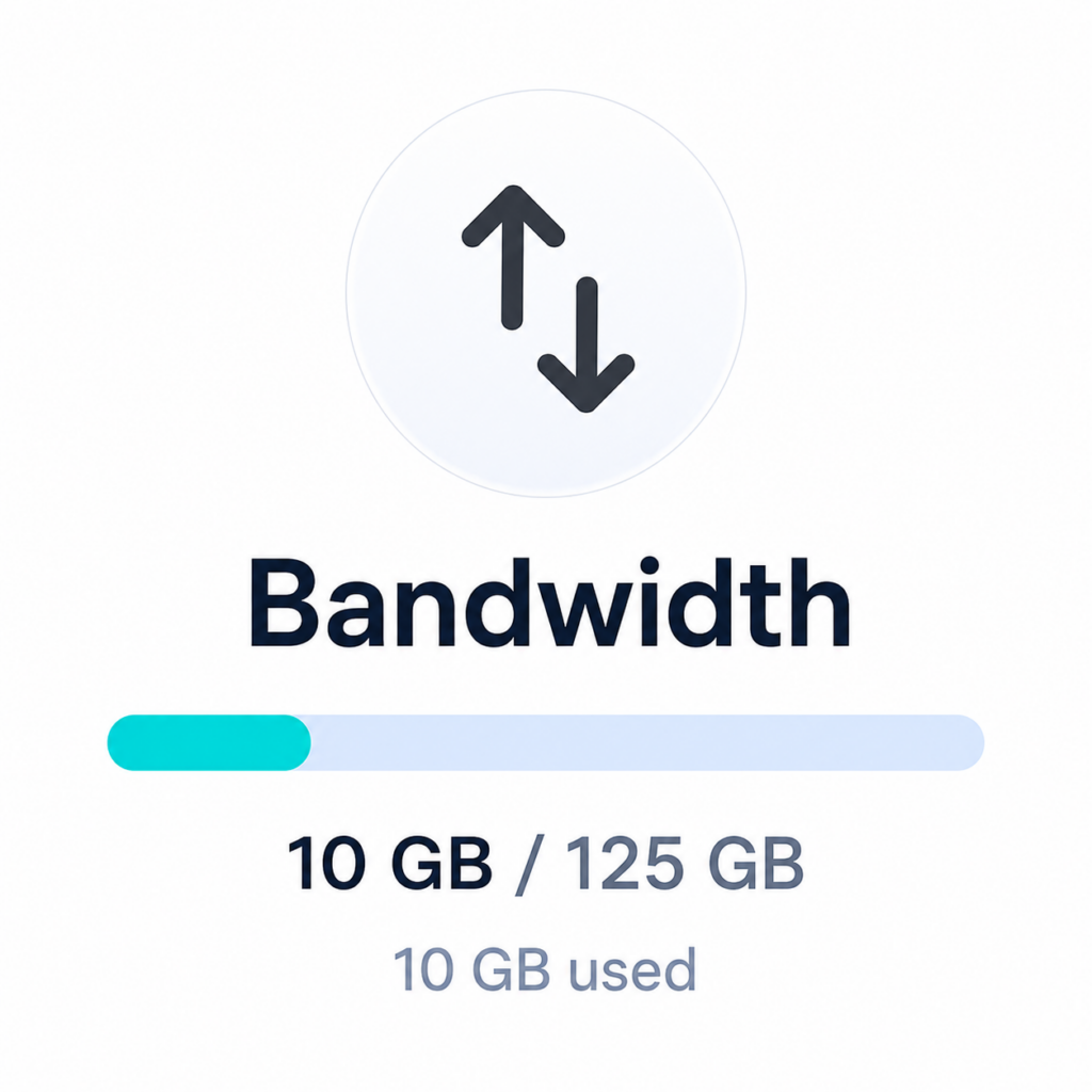 Bandwidth usage meter